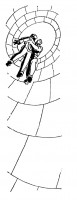  30