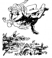 31